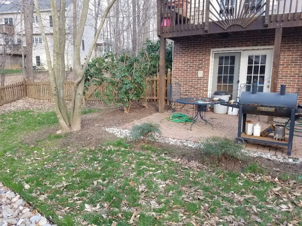 Local yard maintenance experts serving Unionville, VA - CJ's Expert Tree and Yard service