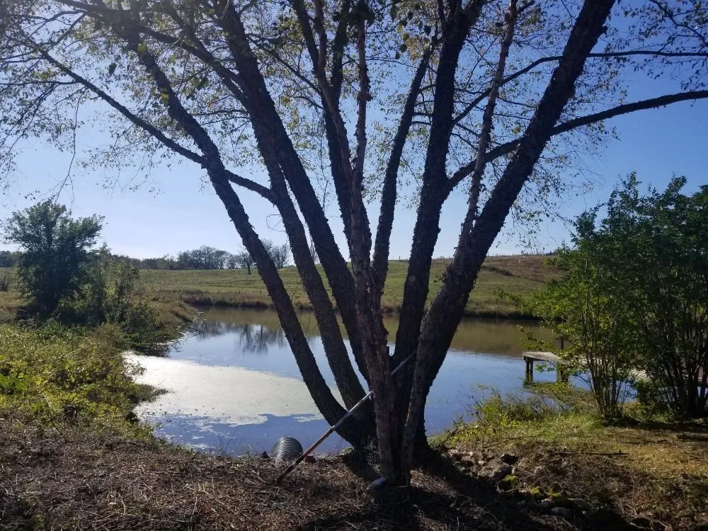 Reliable outdoor landscaping in Unionville, VA by CJ's Expert Tree and Yard service