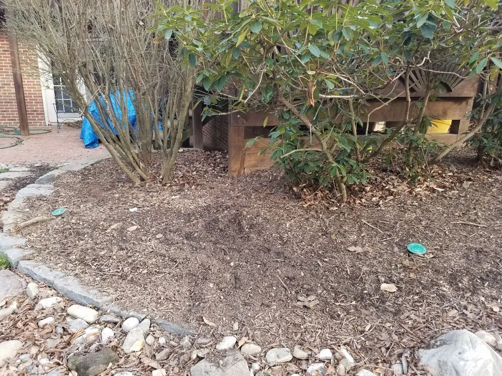 Top-rated landscape installation for homes in Unionville, VA by CJ's Expert Tree and Yard service