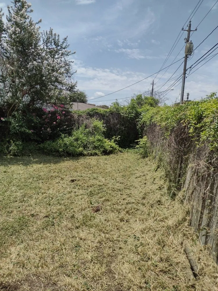 Professional landscape installation for beautiful yards in Corpus Christi, TX by C&Js Grass and Things