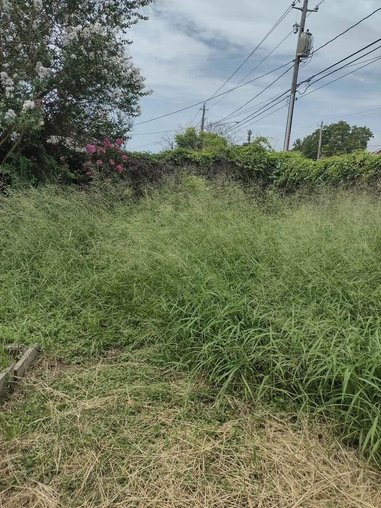 Expert yard cleanup service experts serving Corpus Christi, TX - C&Js Grass and Things