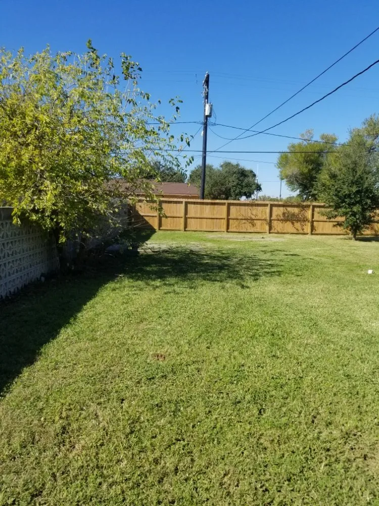Professional lawn care service for year-round maintenance in Corpus Christi, TX by C&Js Grass and Things