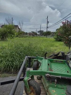 C&Js Grass and Things Logo