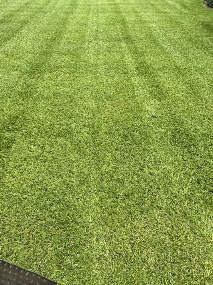 Custom lawn mowing service for outdoor upgrades across Fort Lauderdale, FL - Cj’s Greenery Services