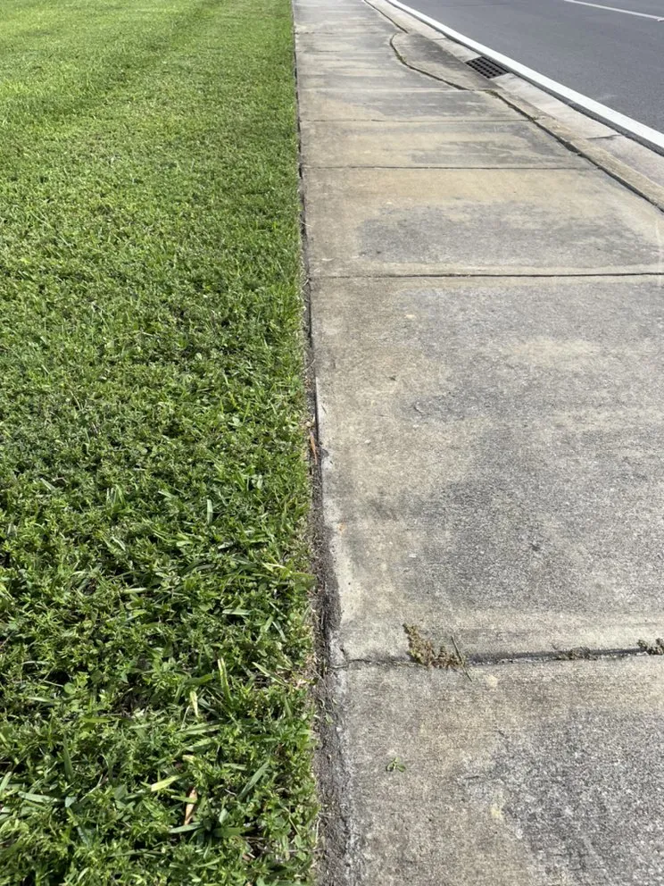 Trusted lawn mowing service in Fort Lauderdale, FL by Cj’s Greenery Services