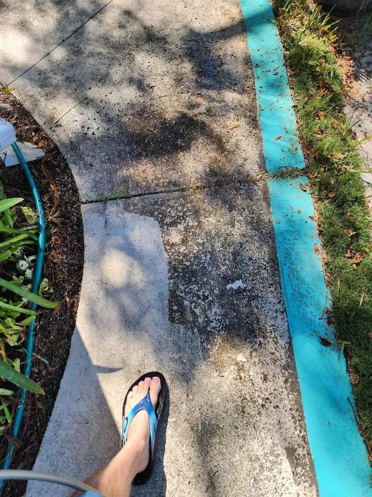 Top-rated residential landscaping experts serving Belleair Bluffs, FL - Cj's Home Services