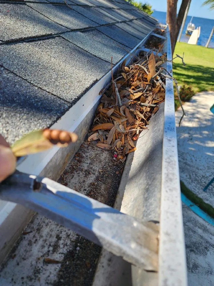 Trusted lawn mowing service near you across Belleair Bluffs, FL - Cj's Home Services