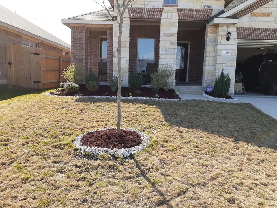Local lawn mowing service in Pflugerville, TX - CJ's Landscape Design