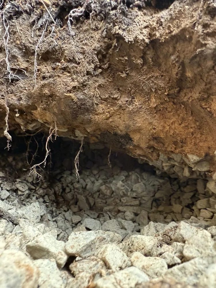 Local garden landscaping for homes across Green Bay, WI - CJS Landscape