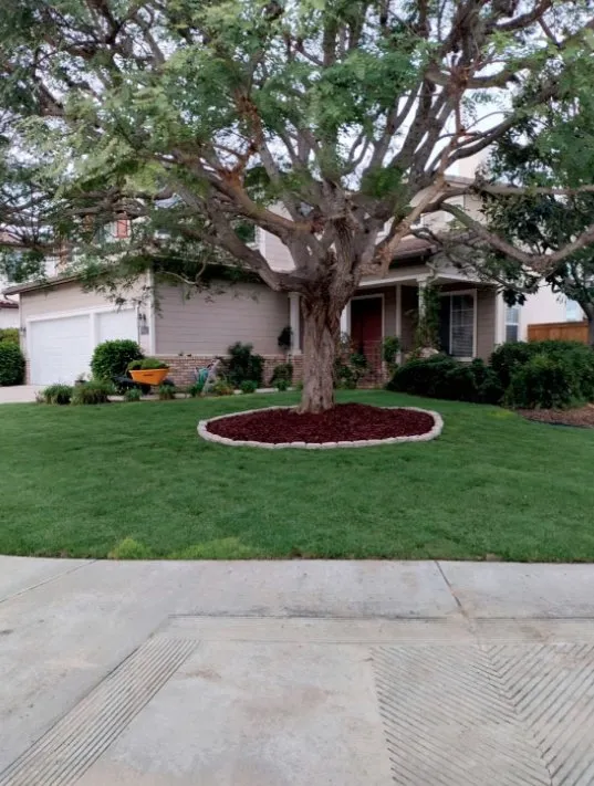 Trusted landscape design experts serving San Diego, CA - Cjs Landscape Solutions