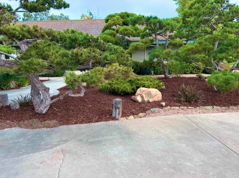 Affordable residential landscaping for outdoor upgrades in San Diego, CA by Cjs Landscape Solutions