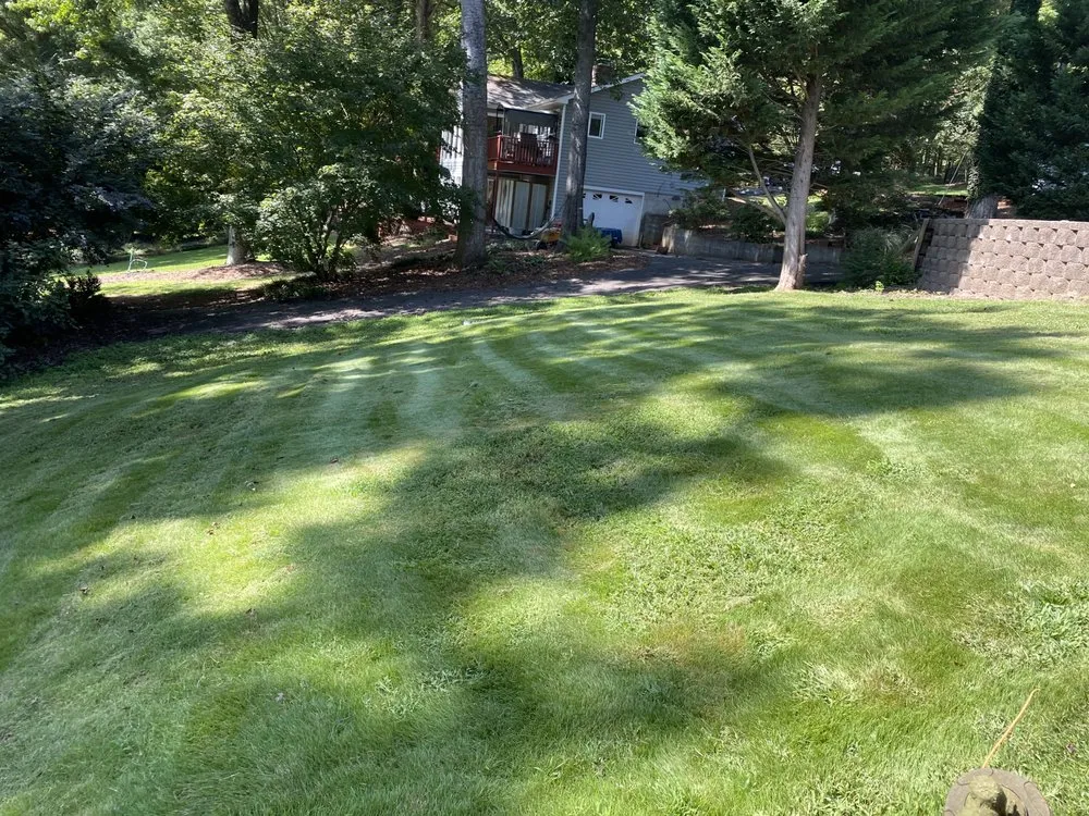 Custom yard maintenance in Inman, SC - CJ’s Landscapes