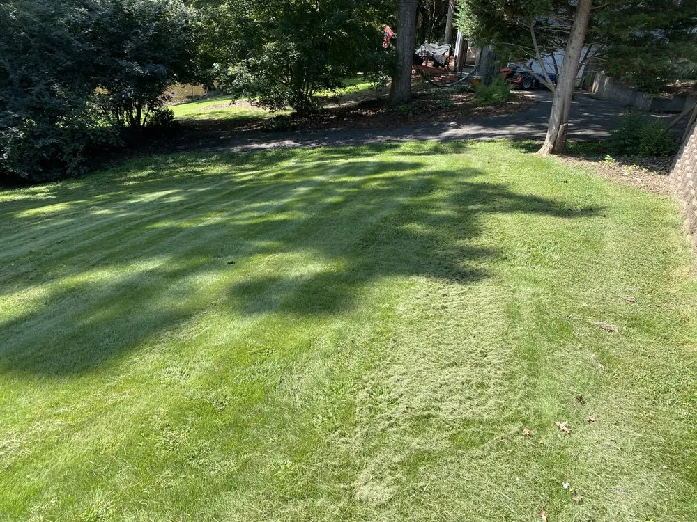 Local lawn care service for residential properties across Inman, SC - CJ’s Landscapes