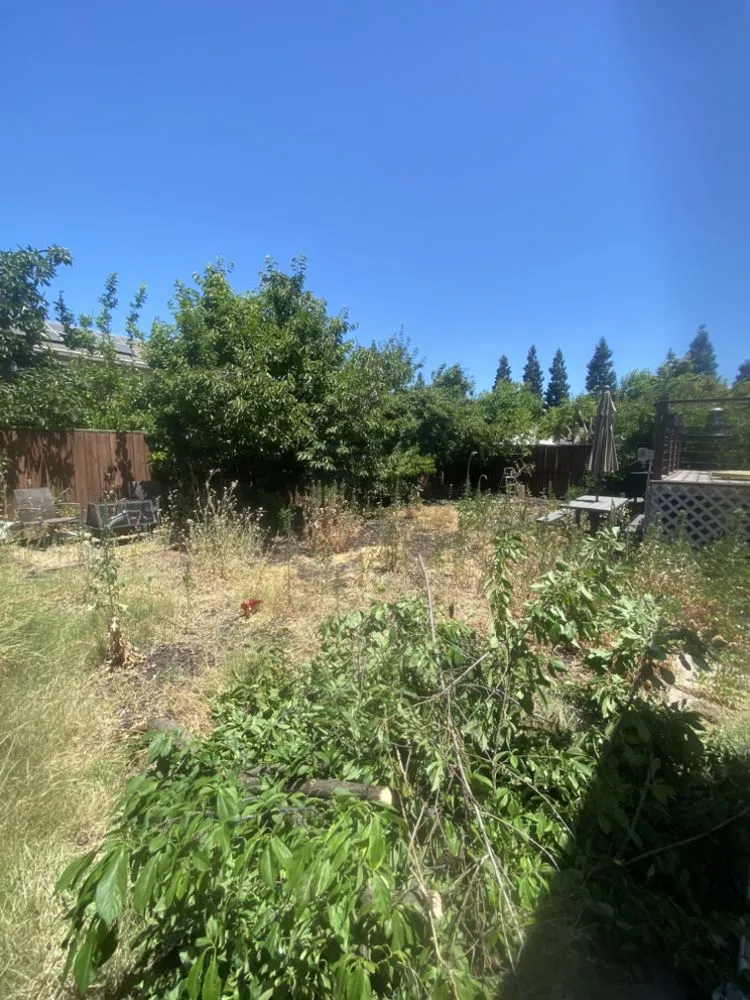 Trusted landscape design near you across Denair, CA - C&J’s Landscaping and Design