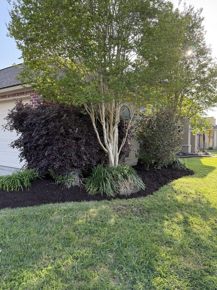 Top-rated lawn mowing service with custom design across Baton Rouge, LA - CJ’s Landscaping