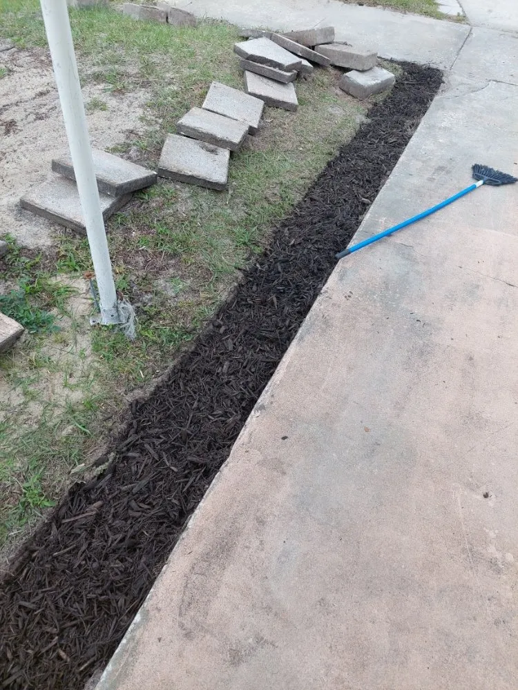 Top-rated yard cleanup service experts serving Eatonville, FL - Cj's Landscaping