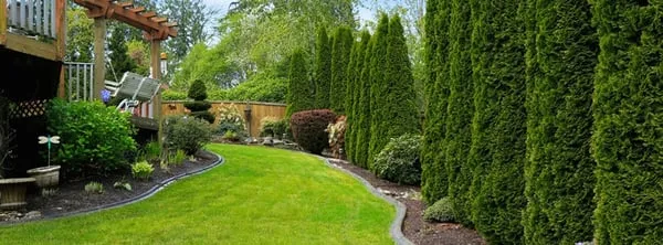 CJS Landscaping Logo