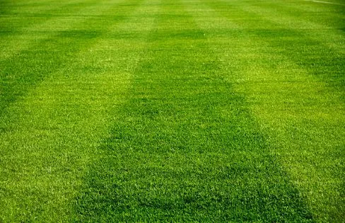 Top-rated landscaping services with custom design across Sylvania, OH - CJ's Lawn & Landscaping