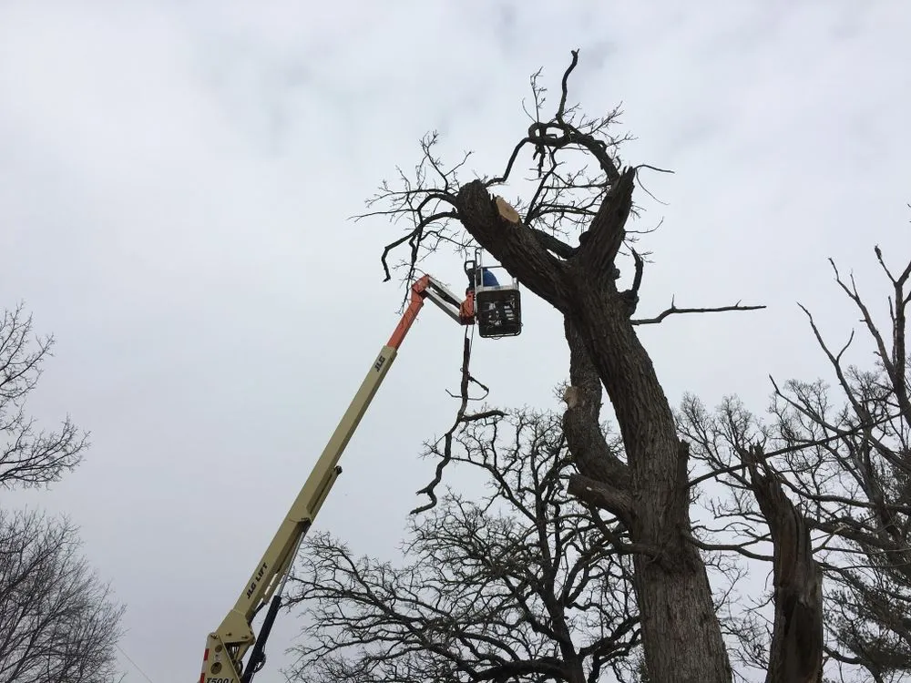 Professional lawn mowing service for beautiful yards across Union Grove, WI - CJS Lawn & Landscaping