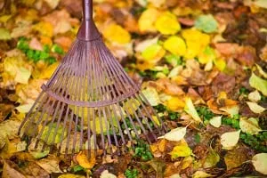 Reliable garden landscaping in Union Grove, WI by CJS Lawn & Landscaping