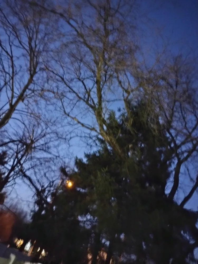 Expert lawn mowing service for homes across Springfield, OH - Cj's Lawn And Tree Service