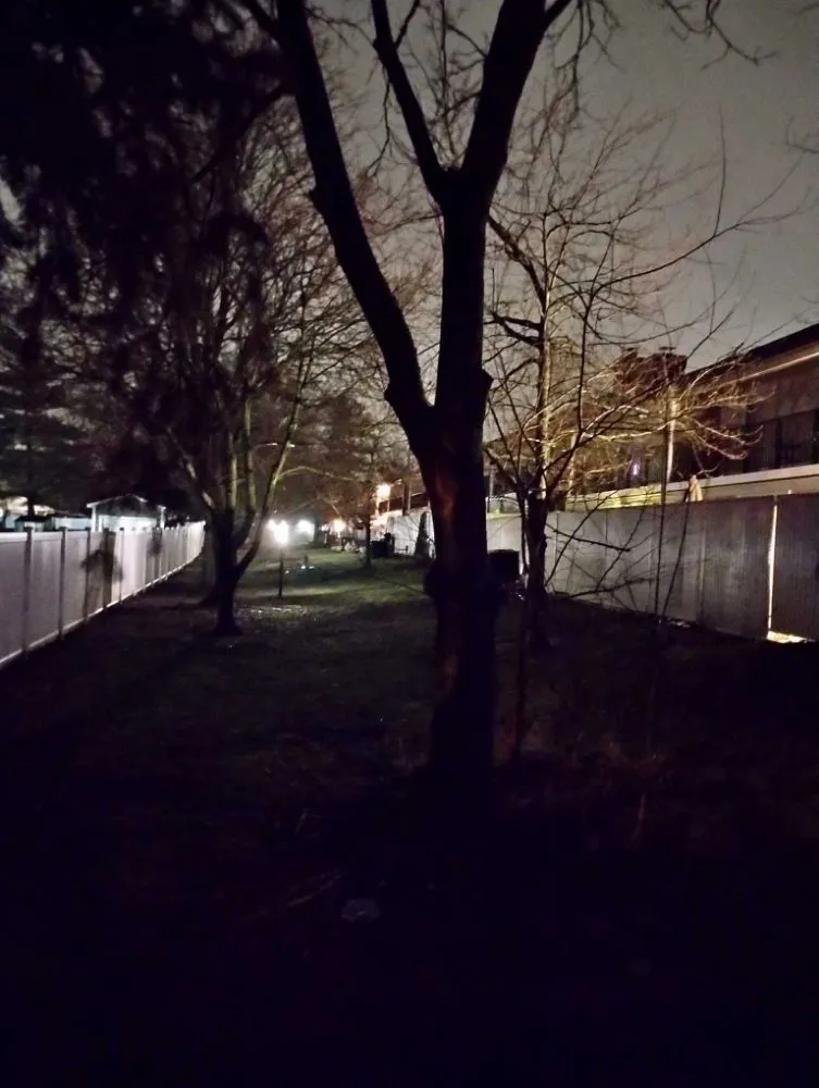 Affordable yard cleanup service in Springfield, OH by Cj's Lawn And Tree Service