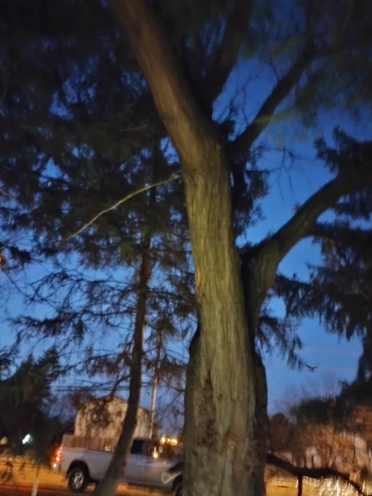 Custom landscape design experts serving Springfield, OH - Cj's Lawn And Tree Service