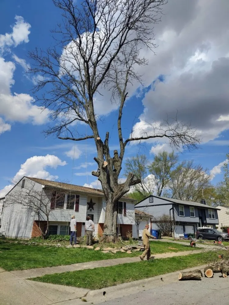 Trusted garden landscaping in Springfield, OH by Cj's Lawn And Tree Service