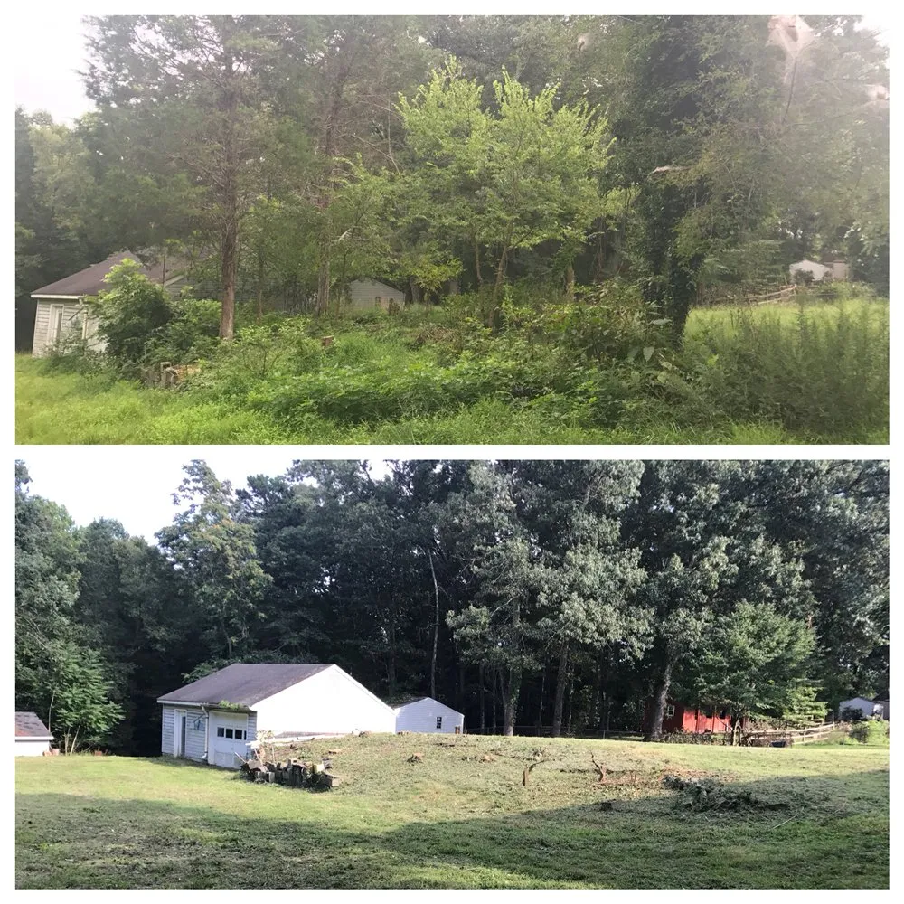 Custom landscape installation with custom design in Woodbridge, VA by CJ's Lawn and Tree Service