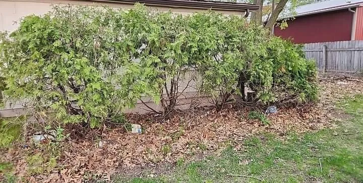 Top-rated garden landscaping experts serving South Bend, IN - CJ'S Lawn Care and More