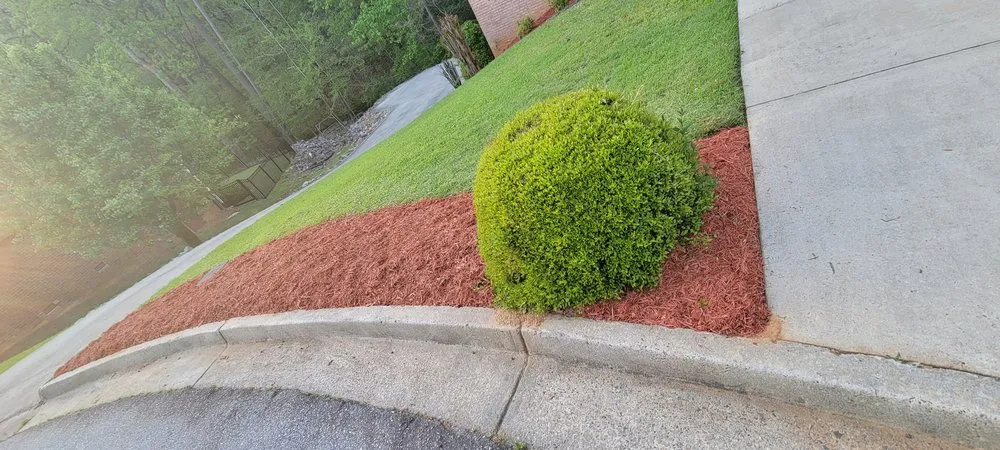 Reliable residential landscaping in Graniteville, SC by CJ's Lawn Care