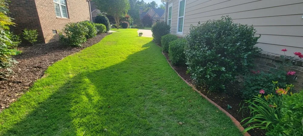Reliable yard maintenance in Graniteville, SC by CJ's Lawn Care