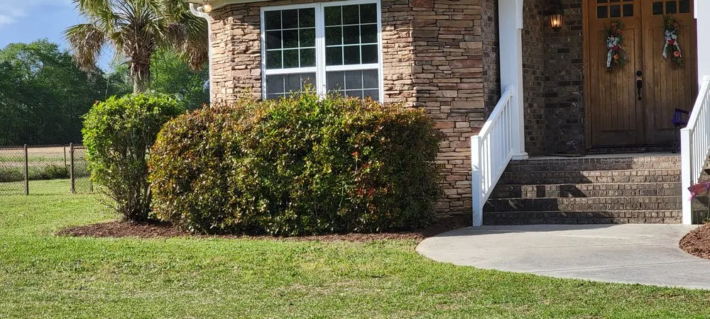 Professional yard cleanup service in Graniteville, SC - CJ's Lawn Care
