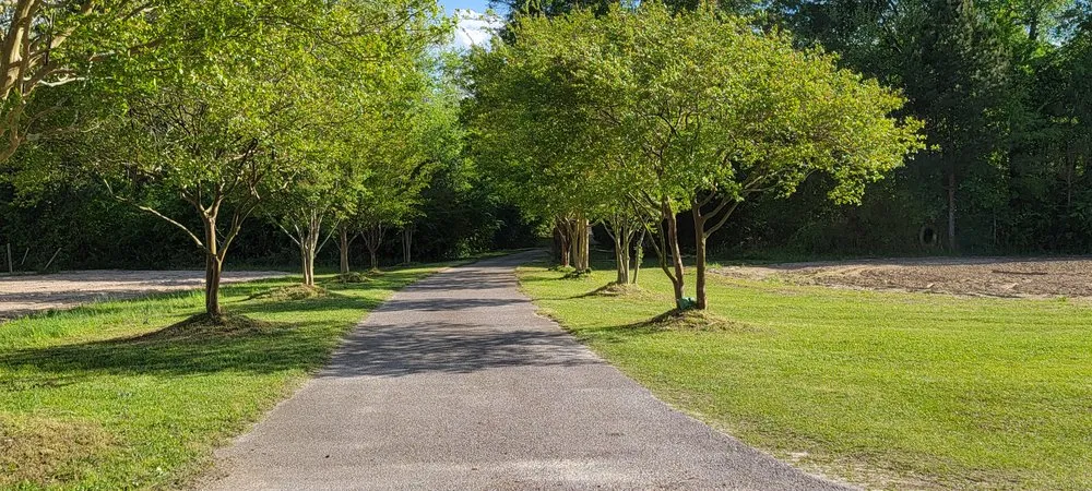 Top-rated yard maintenance experts serving Graniteville, SC - CJ's Lawn Care