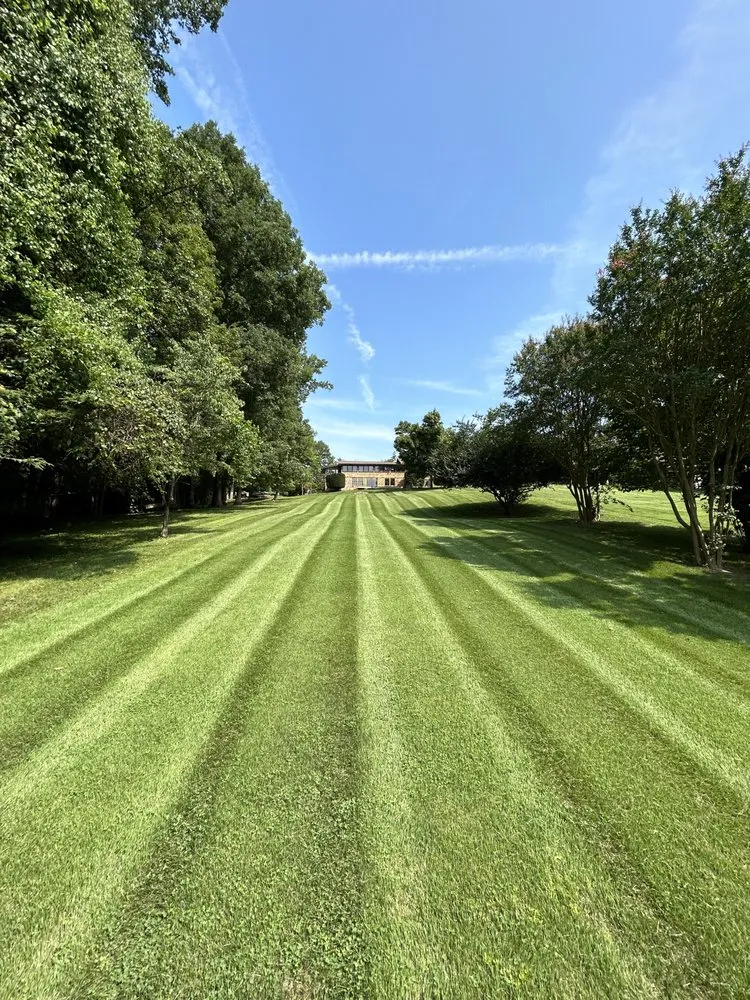 Local lawn mowing service experts serving Morristown, TN - CJ’s Lawn Care