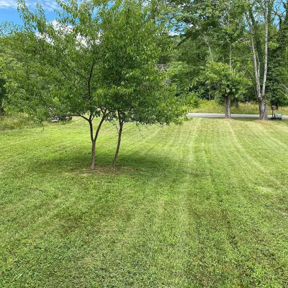 Professional lawn care service in New Castle, VA by CJs Lawn Care