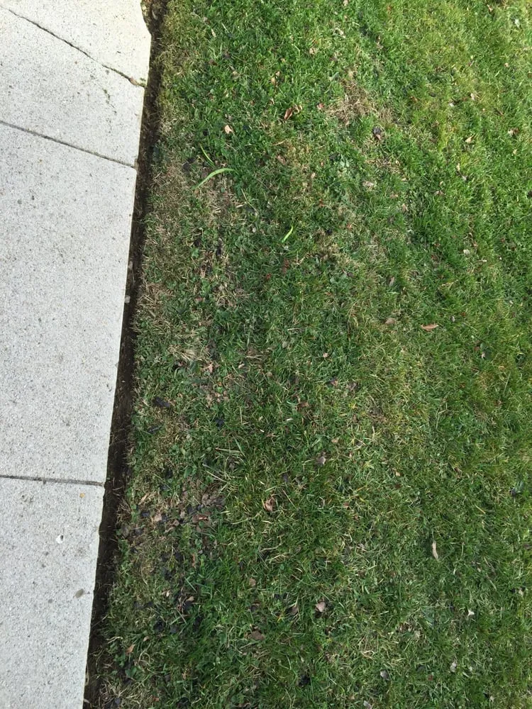 Trusted outdoor landscaping experts serving Philadelphia, PA - CJ's Lawn Care