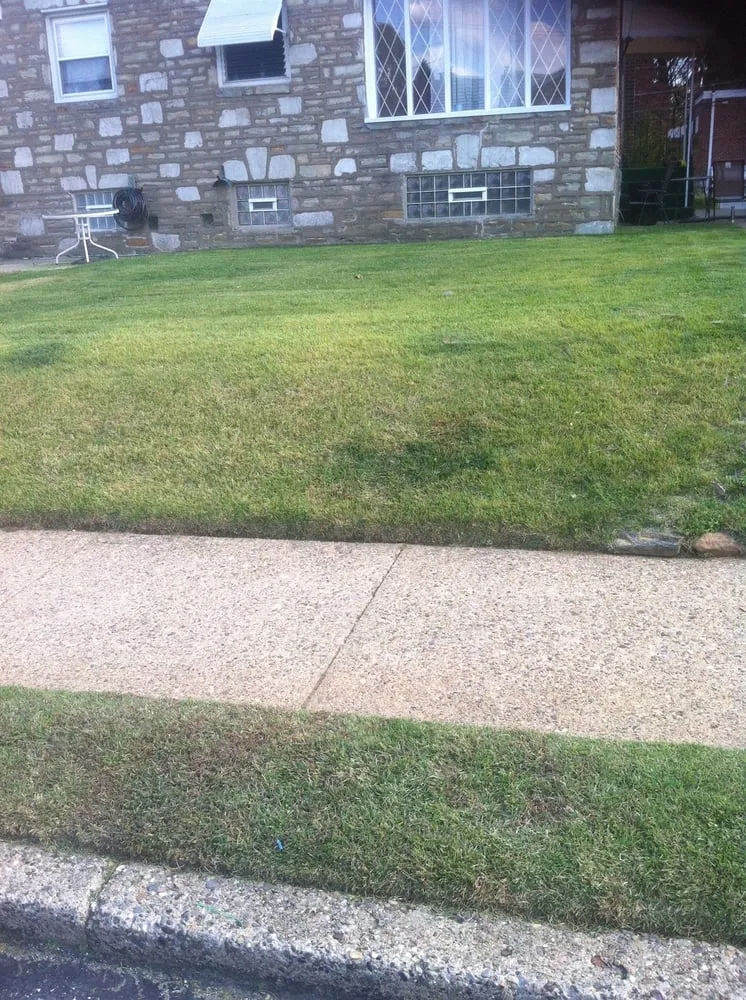 Reliable residential landscaping in Philadelphia, PA by CJ's Lawn Care