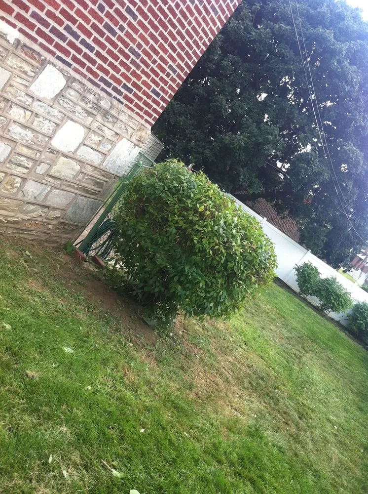 Top-rated lawn care service in Philadelphia, PA by CJ's Lawn Care
