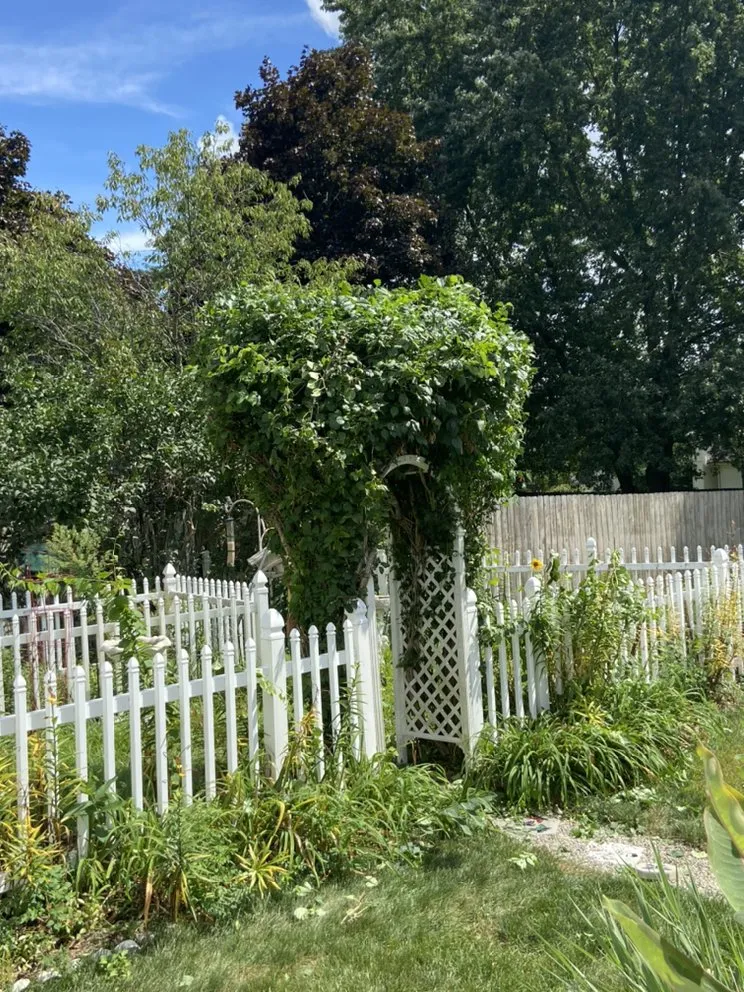 Expert residential landscaping in Adrian, MI - CJ’s Lawn Care Service