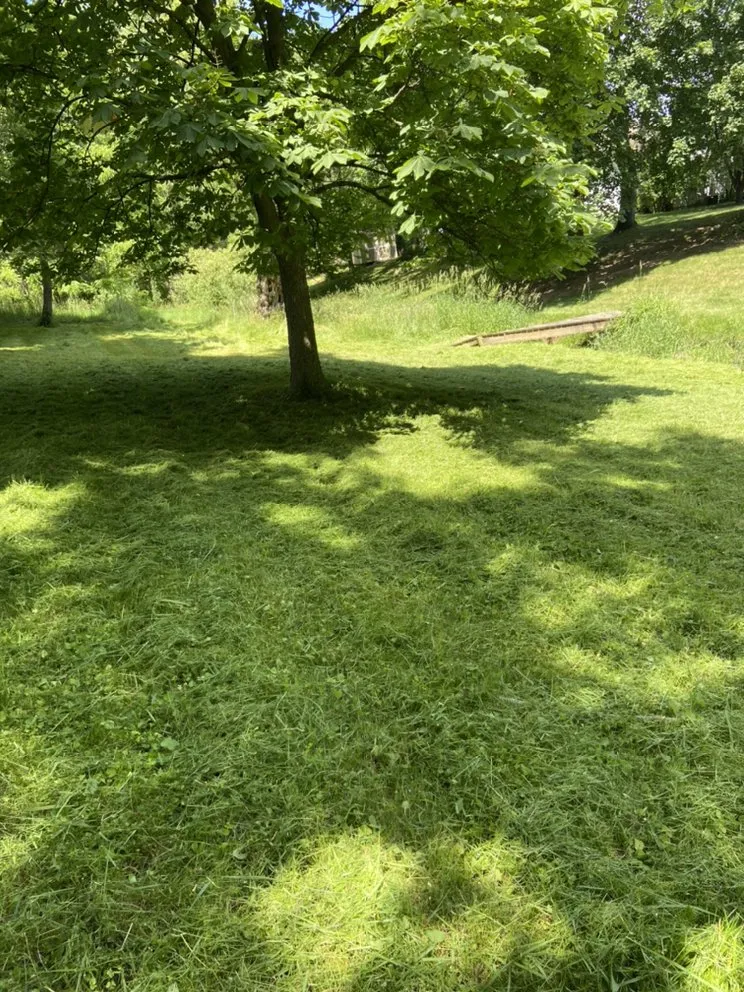 Reliable outdoor landscaping for residential properties in Adrian, MI by CJ’s Lawn Care Service