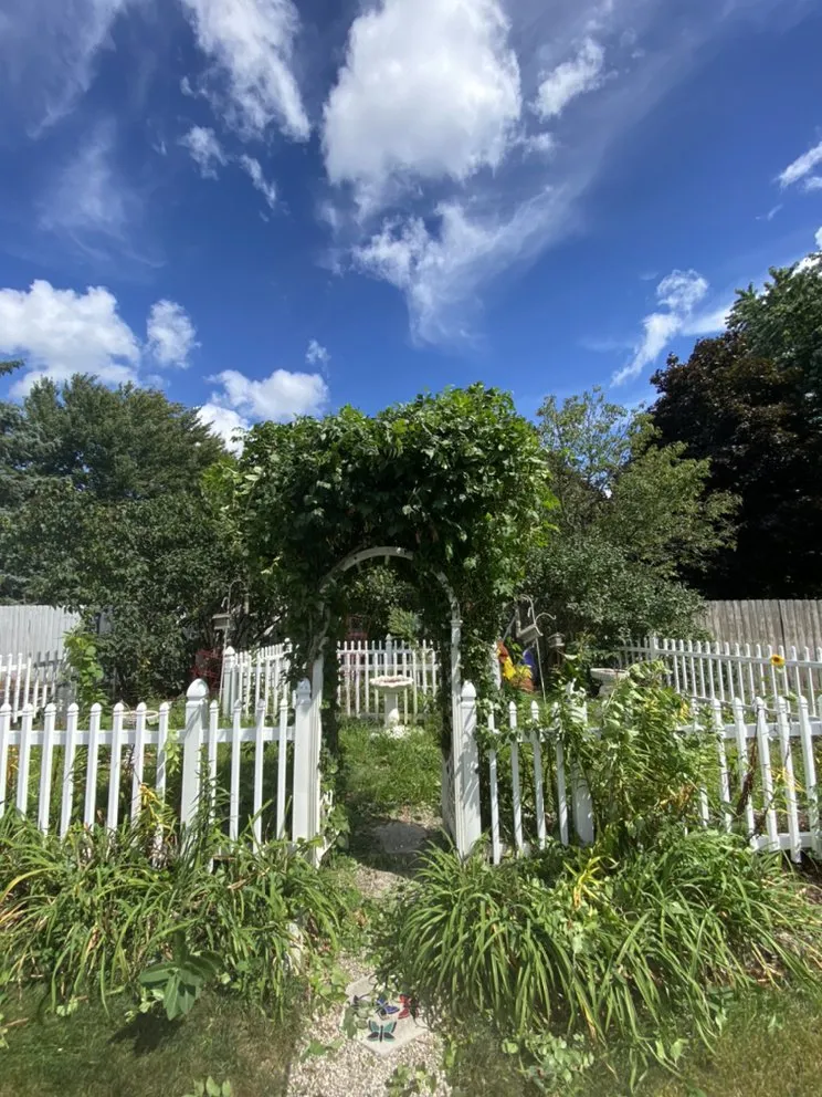 Reliable yard maintenance in Adrian, MI - CJ’s Lawn Care Service