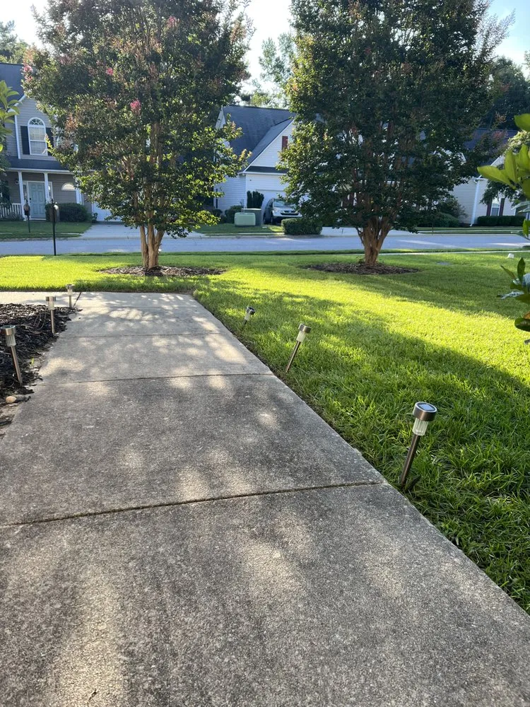 Affordable yard maintenance for beautiful yards across Blythewood, SC - Cj’s Lawn Care Service