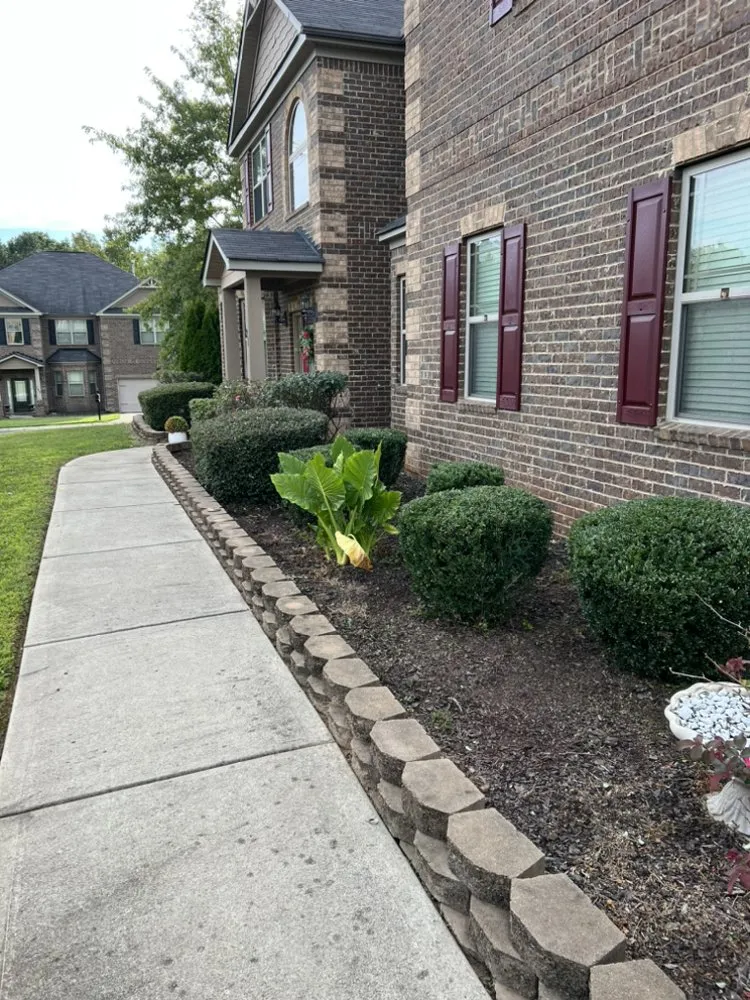 Local yard maintenance experts serving Blythewood, SC - Cj’s Lawn Care Service