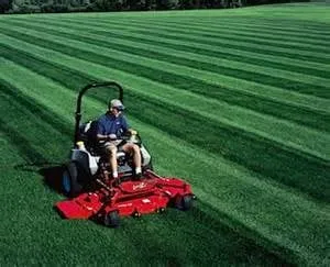 Reliable yard maintenance for outdoor upgrades across Memphis, TN - CJS Lawn Care Service