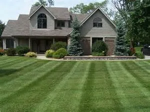 Custom outdoor landscaping for beautiful yards across Memphis, TN - CJS Lawn Care Service
