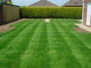Custom landscape installation experts serving Memphis, TN - CJS Lawn Care Service