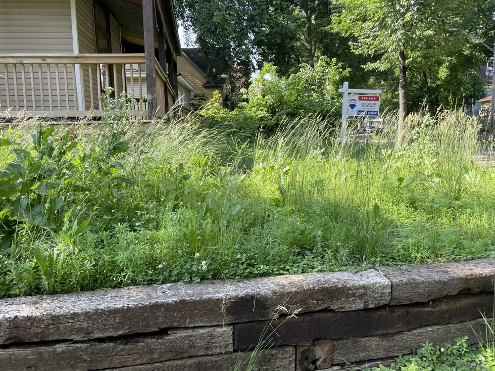 Local lawn care service in Minneapolis, MN by Cj’s Lawn Service