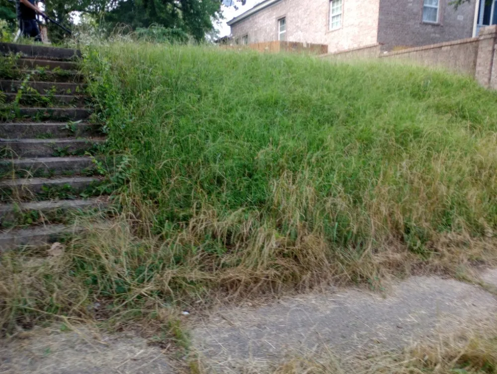 Trusted landscape design in Bauxite, AR by CJS LAWN SERVICES