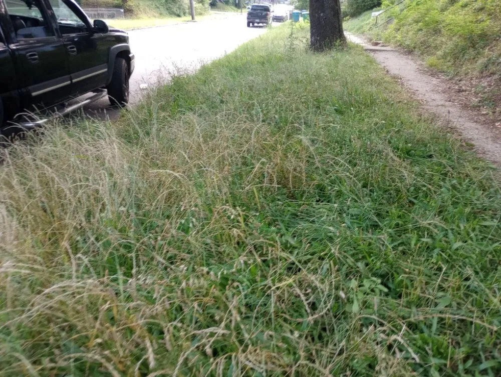 Top-rated landscape installation experts serving Bauxite, AR - CJS LAWN SERVICES
